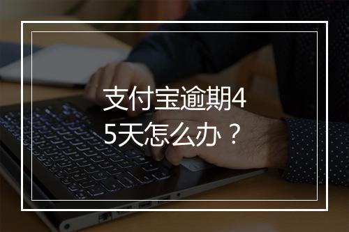 支付宝逾期45天怎么办？