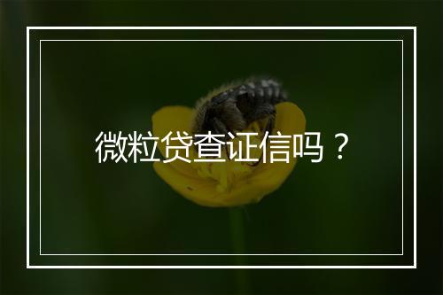 微粒贷查证信吗？