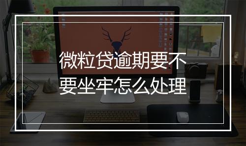 微粒贷逾期要不要坐牢怎么处理