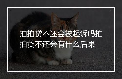 拍拍贷不还会被起诉吗拍拍贷不还会有什么后果