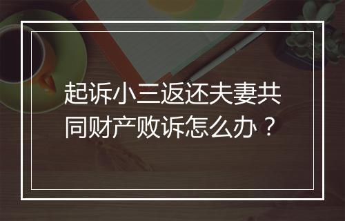 起诉小三返还夫妻共同财产败诉怎么办？