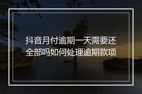 抖音月付逾期一天需要还全部吗如何处理逾期款项
