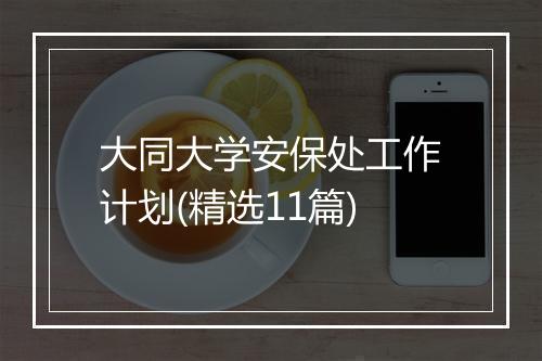 大同大学安保处工作计划(精选11篇)