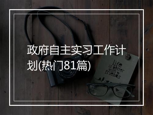 政府自主实习工作计划(热门81篇)