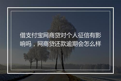 借支付宝网商贷对个人征信有影响吗，网商贷还款逾期会怎么样