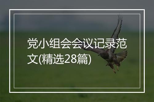 党小组会会议记录范文(精选28篇)