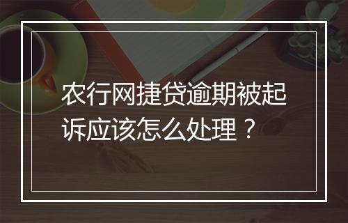 农行网捷贷逾期被起诉应该怎么处理？