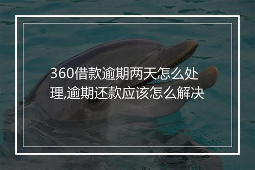 360借款逾期两天怎么处理,逾期还款应该怎么解决