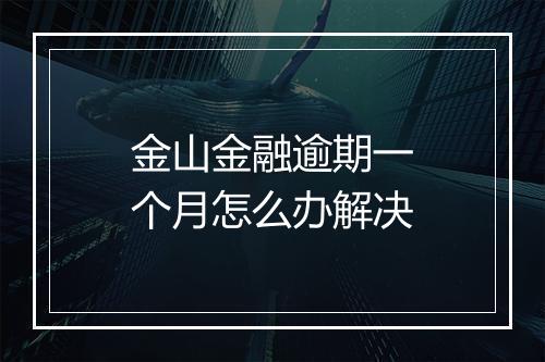 金山金融逾期一个月怎么办解决