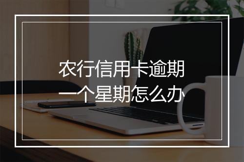 农行信用卡逾期一个星期怎么办
