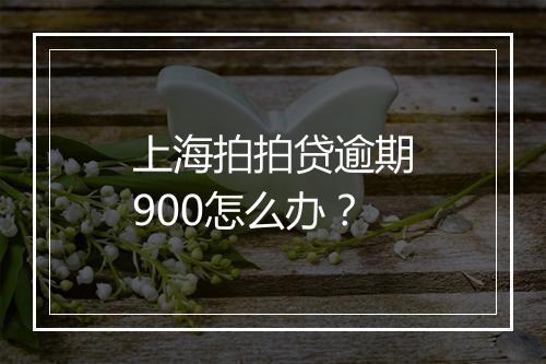 上海拍拍贷逾期900怎么办？