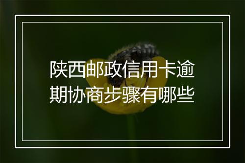 陕西邮政信用卡逾期协商步骤有哪些