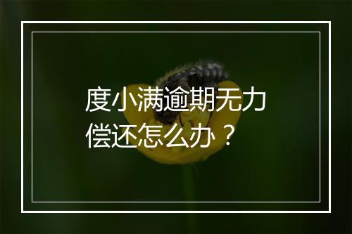度小满逾期无力偿还怎么办？