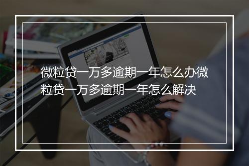 微粒贷一万多逾期一年怎么办微粒贷一万多逾期一年怎么解决