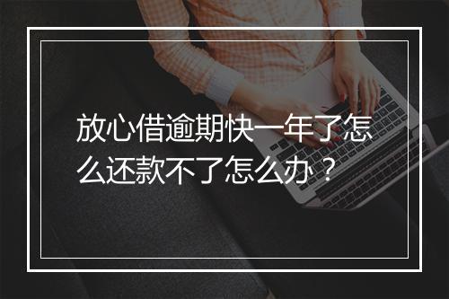放心借逾期快一年了怎么还款不了怎么办？