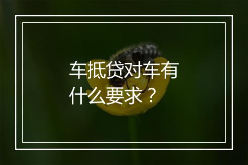 车抵贷对车有什么要求？