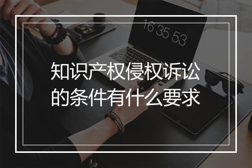 知识产权侵权诉讼的条件有什么要求