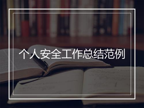 个人安全工作总结范例