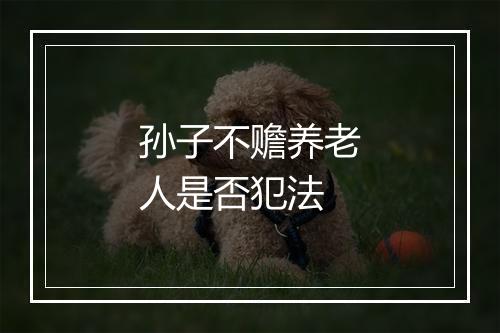 孙子不赡养老人是否犯法
