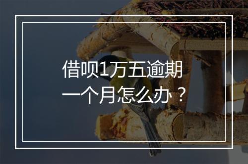 借呗1万五逾期一个月怎么办？