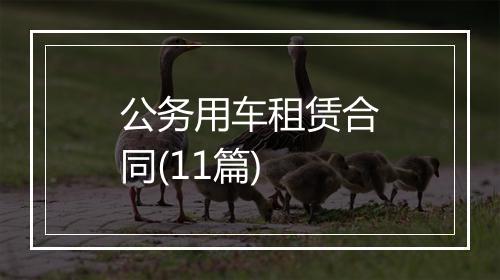 公务用车租赁合同(11篇)