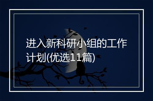 进入新科研小组的工作计划(优选11篇)