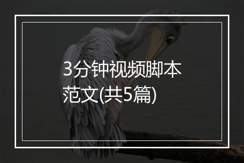 3分钟视频脚本范文(共5篇)