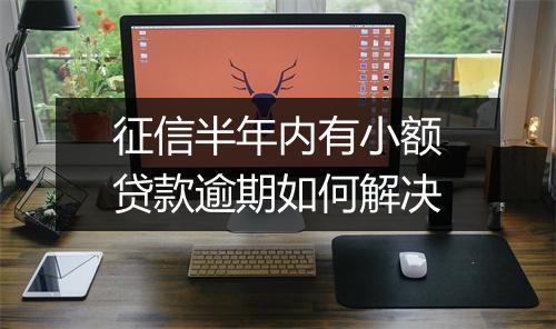 征信半年内有小额贷款逾期如何解决