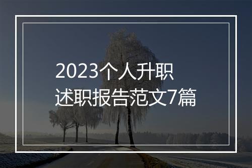 2023个人升职述职报告范文7篇