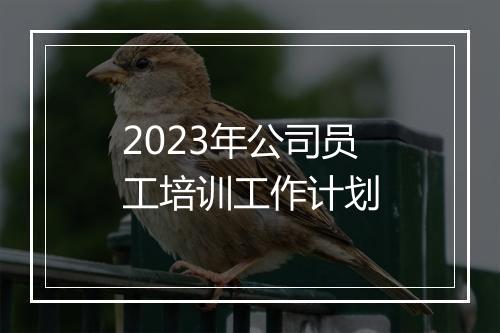 2023年公司员工培训工作计划