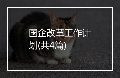 国企改革工作计划(共4篇)
