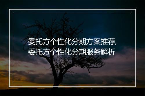 委托方个性化分期方案推荐,委托方个性化分期服务解析