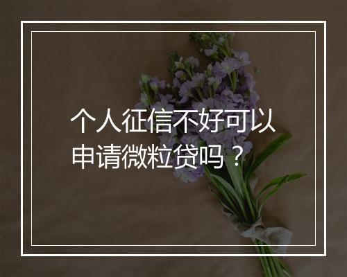 个人征信不好可以申请微粒贷吗？