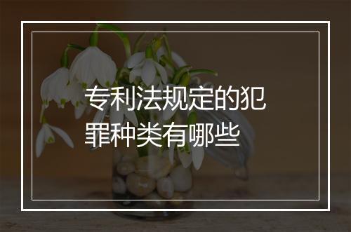 专利法规定的犯罪种类有哪些