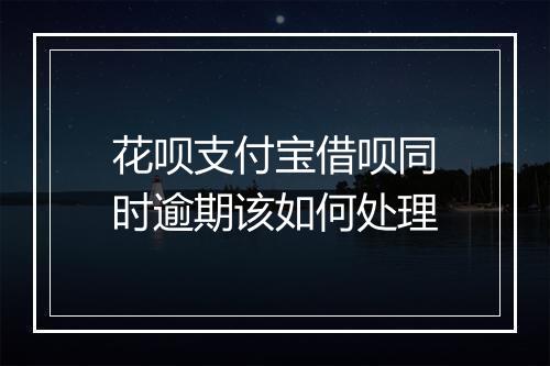 花呗支付宝借呗同时逾期该如何处理