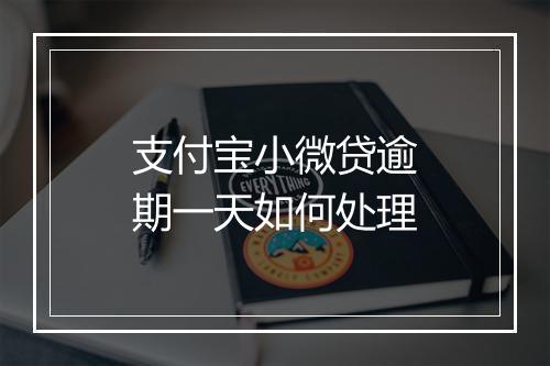 支付宝小微贷逾期一天如何处理