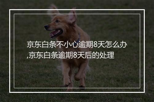 京东白条不小心逾期8天怎么办,京东白条逾期8天后的处理