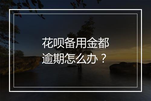 花呗备用金都逾期怎么办？