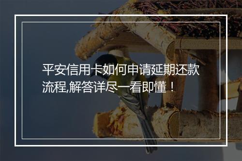 平安信用卡如何申请延期还款流程,解答详尽一看即懂！
