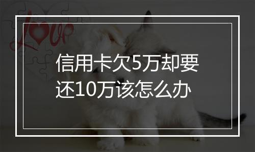 信用卡欠5万却要还10万该怎么办