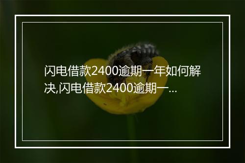 闪电借款2400逾期一年如何解决,闪电借款2400逾期一年后果与处理办法