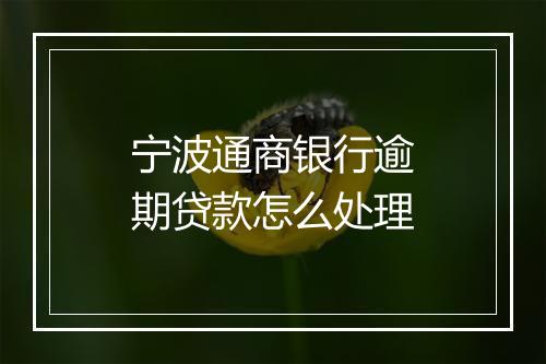 宁波通商银行逾期贷款怎么处理