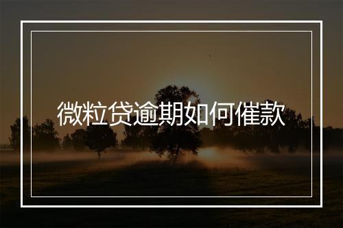 微粒贷逾期如何催款