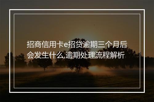 招商信用卡e招贷逾期三个月后会发生什么,逾期处理流程解析
