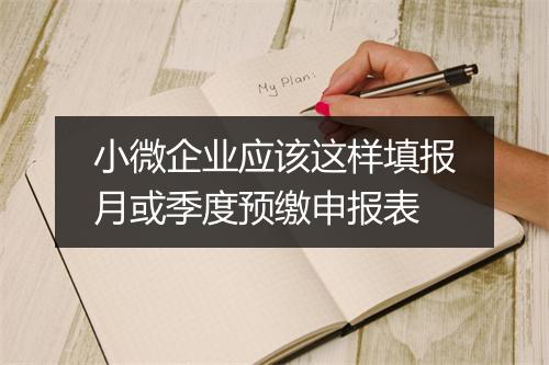小微企业应该这样填报月或季度预缴申报表
