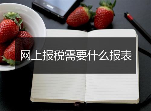 网上报税需要什么报表