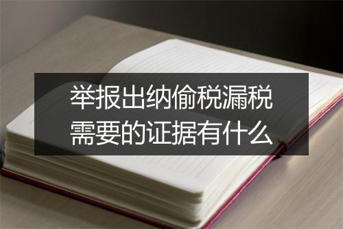 举报出纳偷税漏税需要的证据有什么
