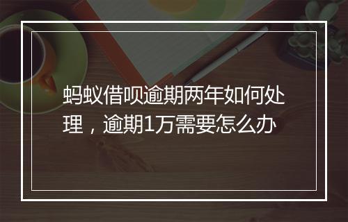 蚂蚁借呗逾期两年如何处理，逾期1万需要怎么办
