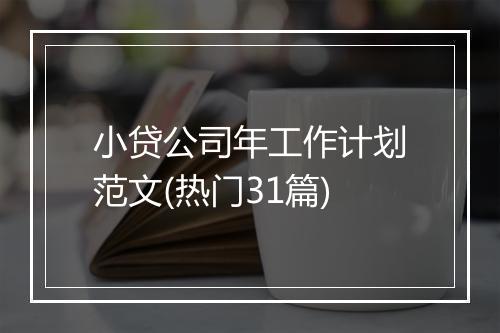 小贷公司年工作计划范文(热门31篇)