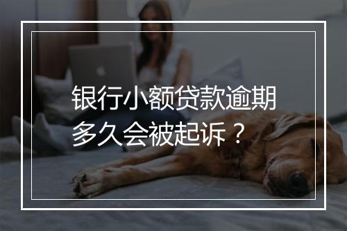 银行小额贷款逾期多久会被起诉？